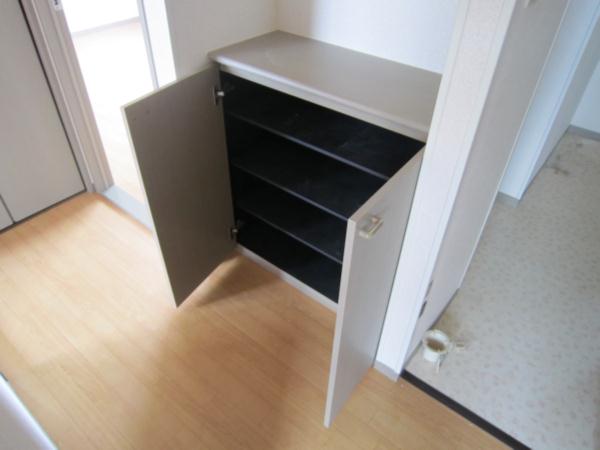 Entrance. Shoe box