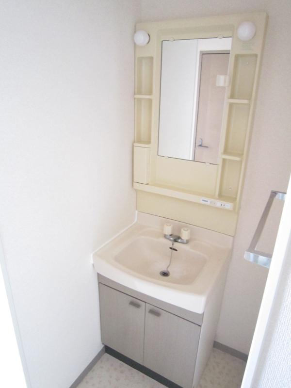 Washroom. Bathroom vanity