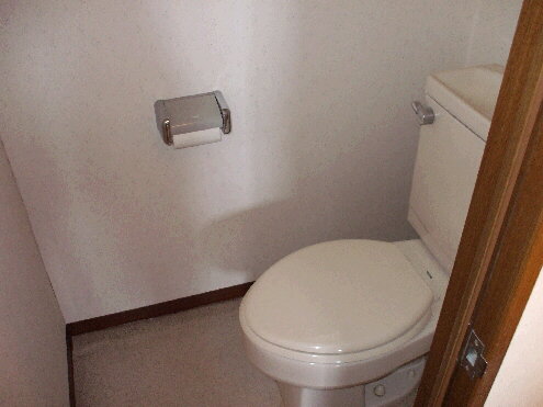 Toilet. Western-style toilet