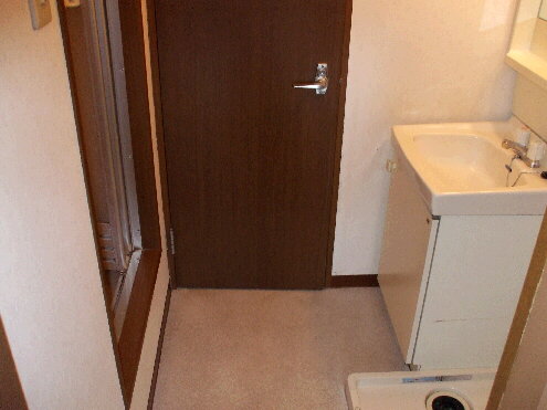 Washroom. Wash basin and washing machine Storage