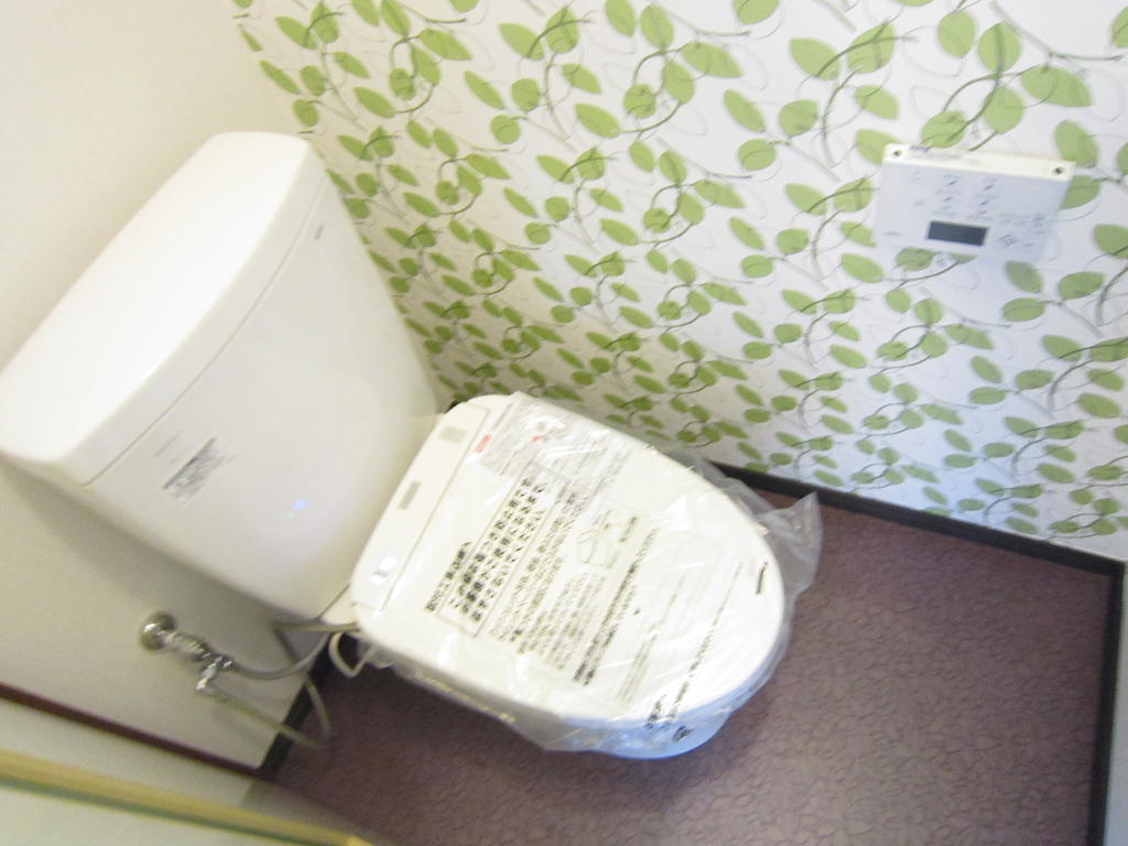 Toilet. Bidet