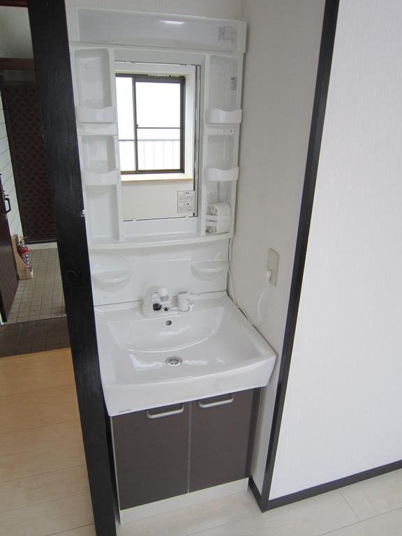 Washroom. Shampoo dresser