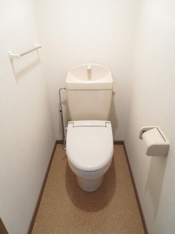 Toilet. Heating toilet seat