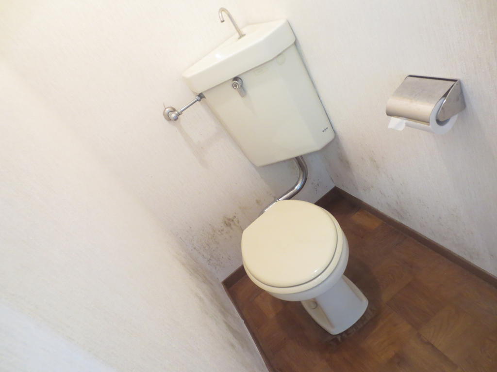 Toilet. Toilet