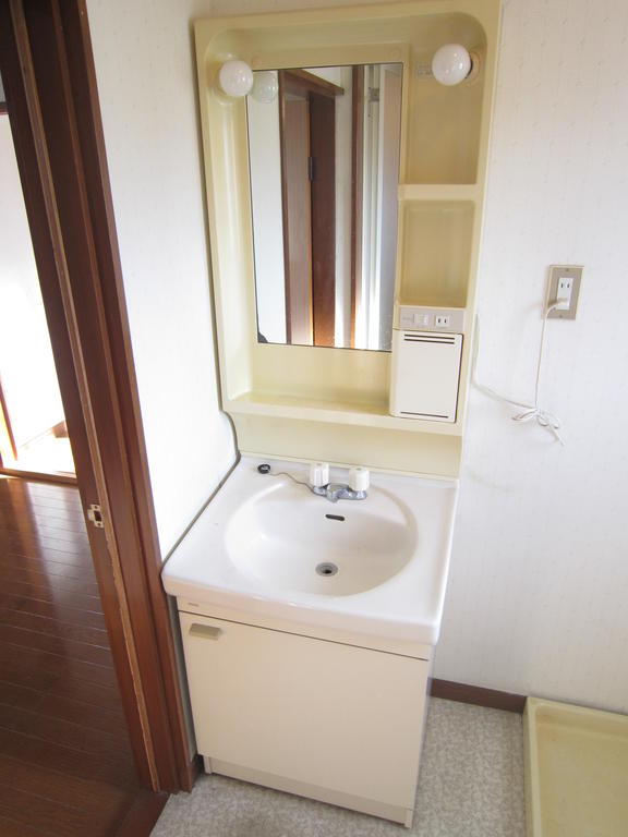 Washroom. Bathroom vanity