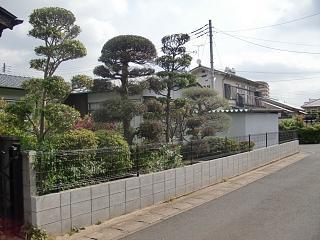 Local photos, including front road