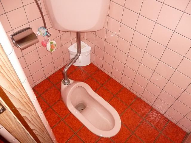 Toilet. Room (August 2013) Shooting