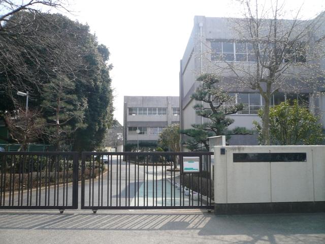 Primary school. Chinami until elementary school 1950m