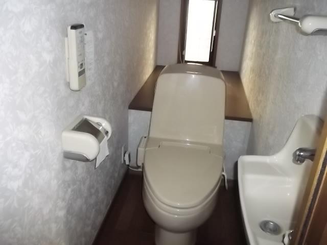 Toilet. Indoor (11 May 2013) Shooting