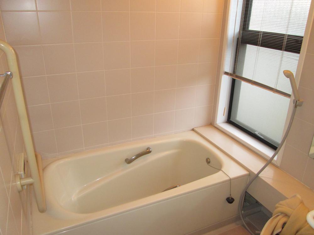 Bathroom. Indoor (10 May 2013) Shooting
