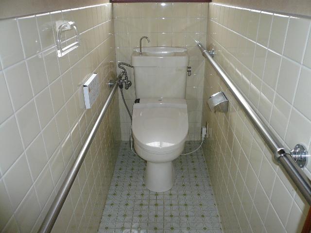 Toilet. Indoor (March 2013) Shooting