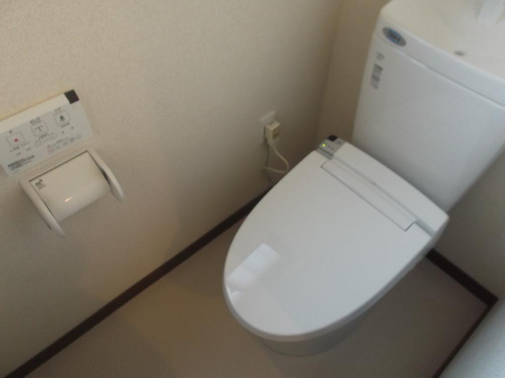Toilet. Toilet is two places replaced..