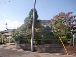 Local photos, including front road
