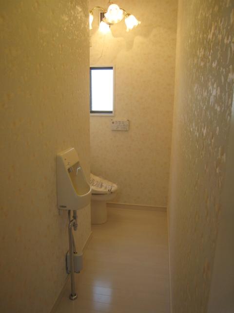 Toilet. Room (May 2013) Shooting