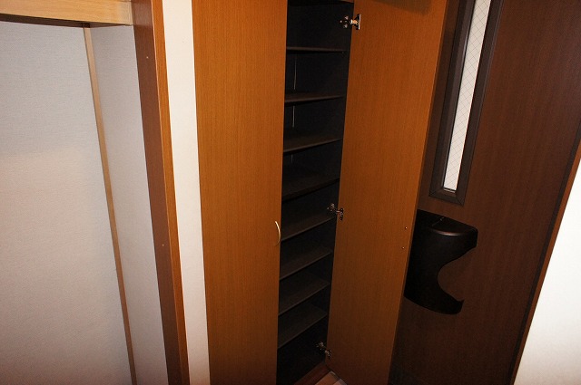 Entrance. Thor-type shoes with box