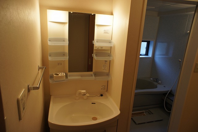 Washroom. Washbasin with shower