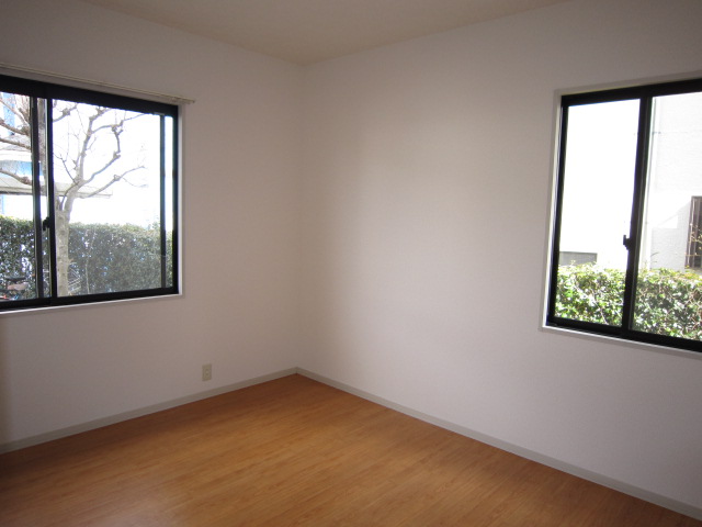 Living and room. Dihedral daylight Western-style