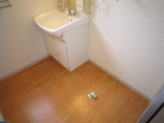 Washroom. Indoor Laundry Storage