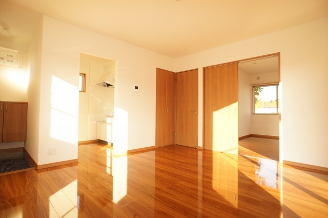 Living and room. Sunny living