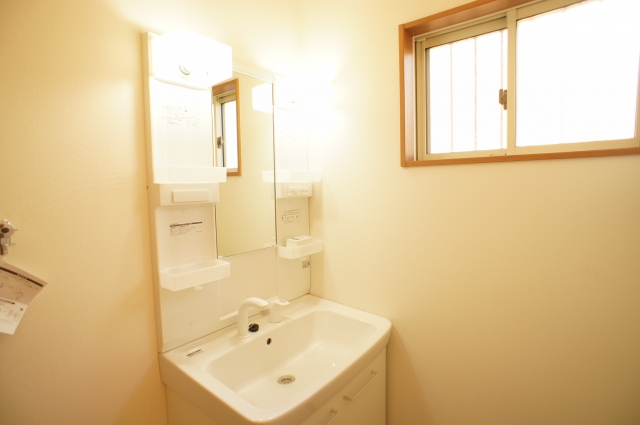 Washroom. Washbasin with shower