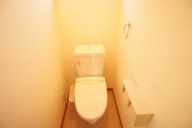 Toilet. Washlet equipped