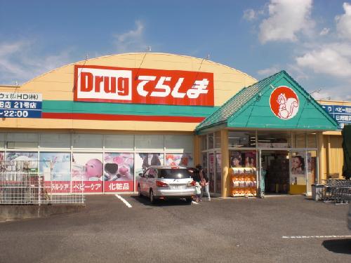 Dorakkusutoa. Drag Terashima (drugstore) up to 100m