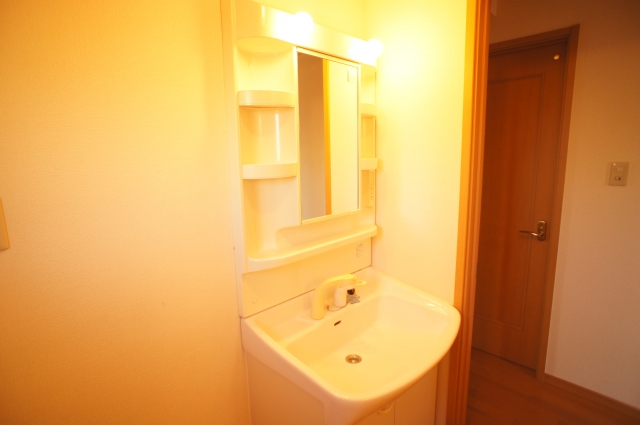 Washroom. Shower dresser equipped