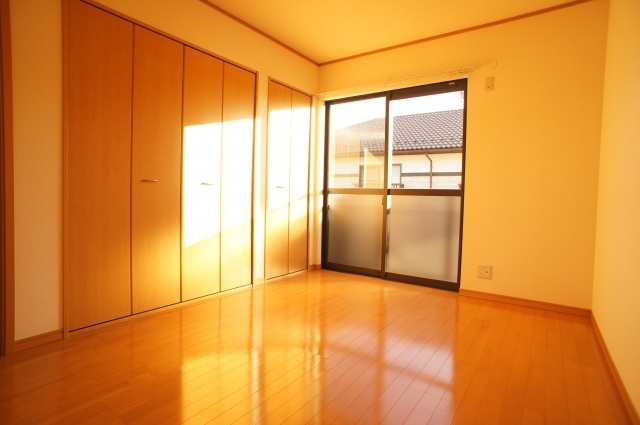 Living and room. Large closet equipped