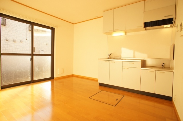 Living and room. Sunny living