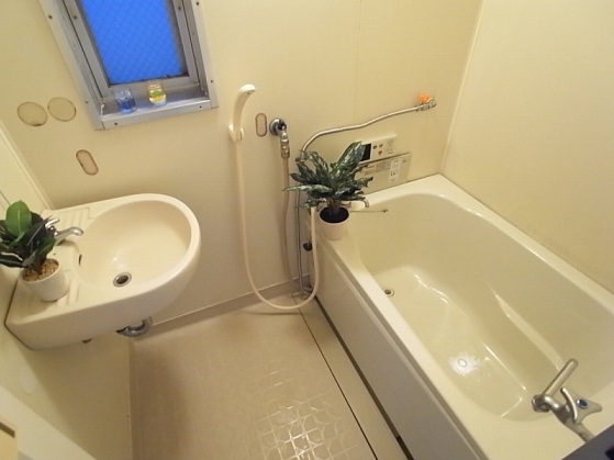 Bath. Bathing with a window