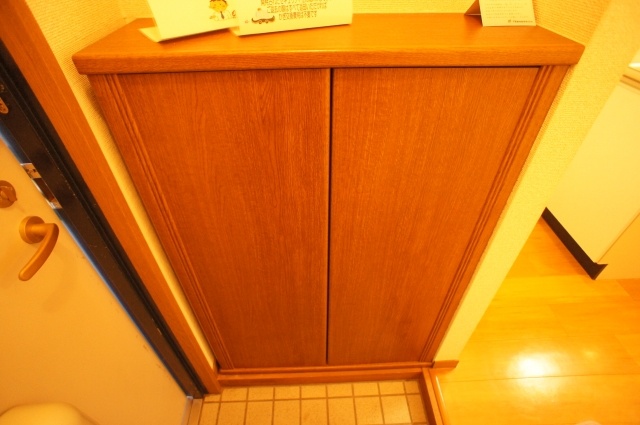 Entrance. With a shoe box