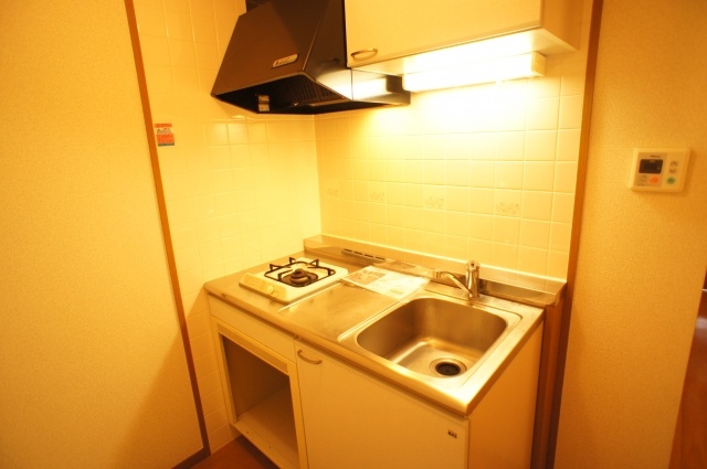 Kitchen. Stove with a kitchen