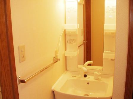 Washroom. Washbasin with shower