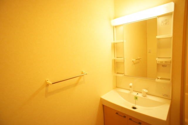 Washroom. Washbasin with shower