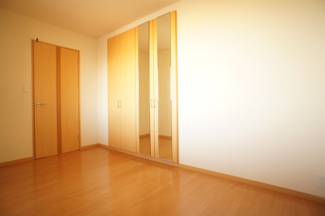 Living and room. Large closet equipped with a mirror