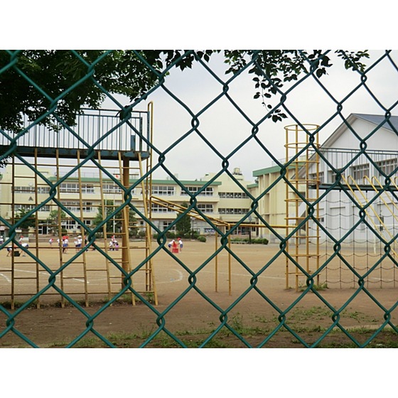 Primary school. 780m to Ushiku Municipal Ushiku elementary school (elementary school)