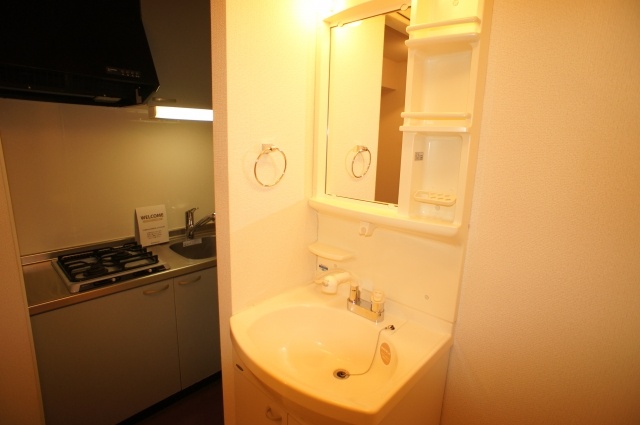 Washroom. Washbasin with shower