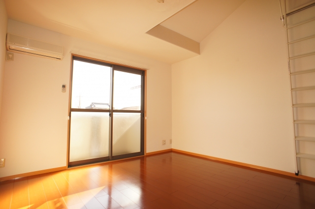 Living and room. Sunny living