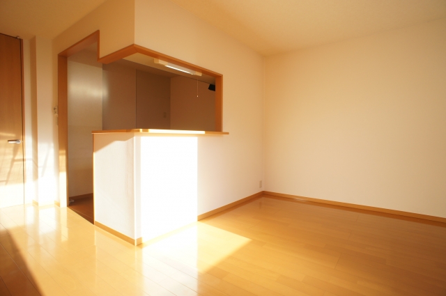 Living and room. Stylish counter kitchen