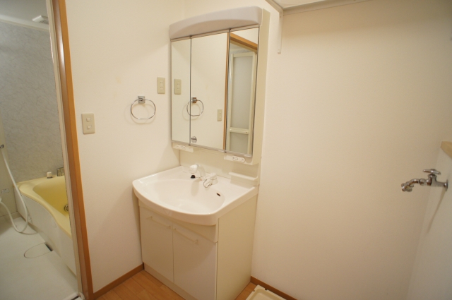 Washroom. Washbasin with shower