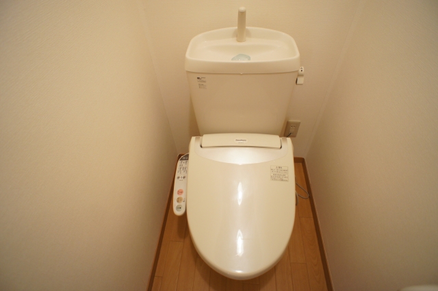 Toilet. Washlet equipped