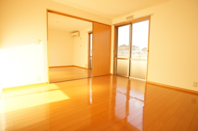 Living and room. Sunny living