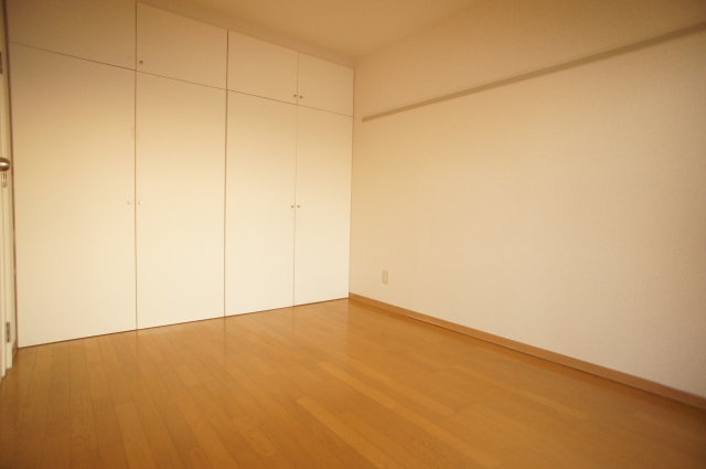 Living and room. North Western-style large closet equipped