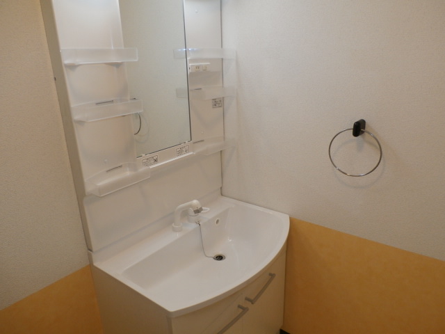 Washroom. Vanity of new.