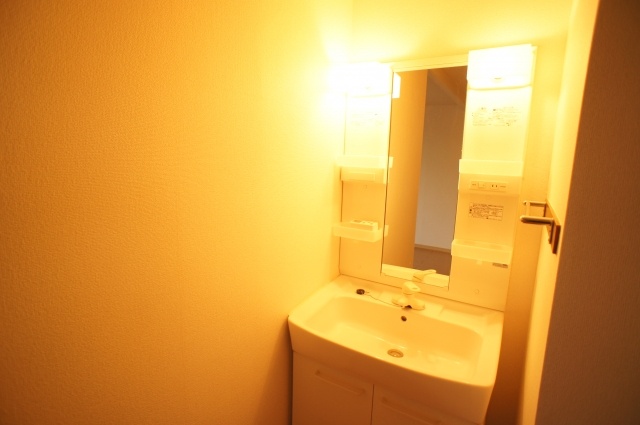 Washroom. Washbasin with shower