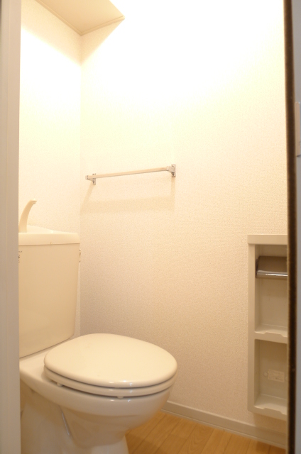 Toilet. It comes with a shelf above