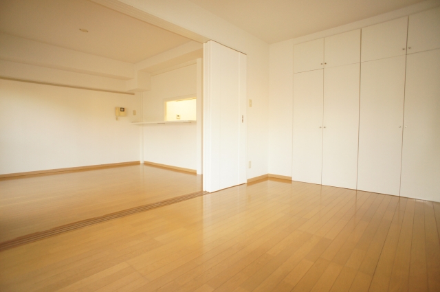 Living and room. Storage rich Western-style