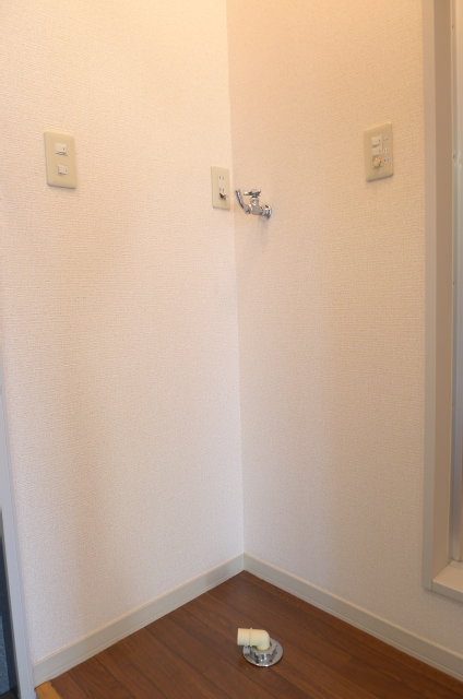 Washroom. Indoor laundry Storage