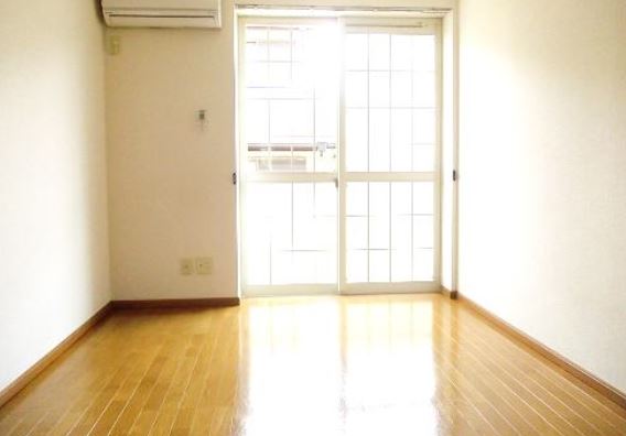 Living and room. Sunny living