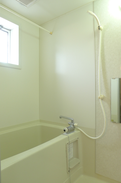 Bath. Also it comes with a window in the bath